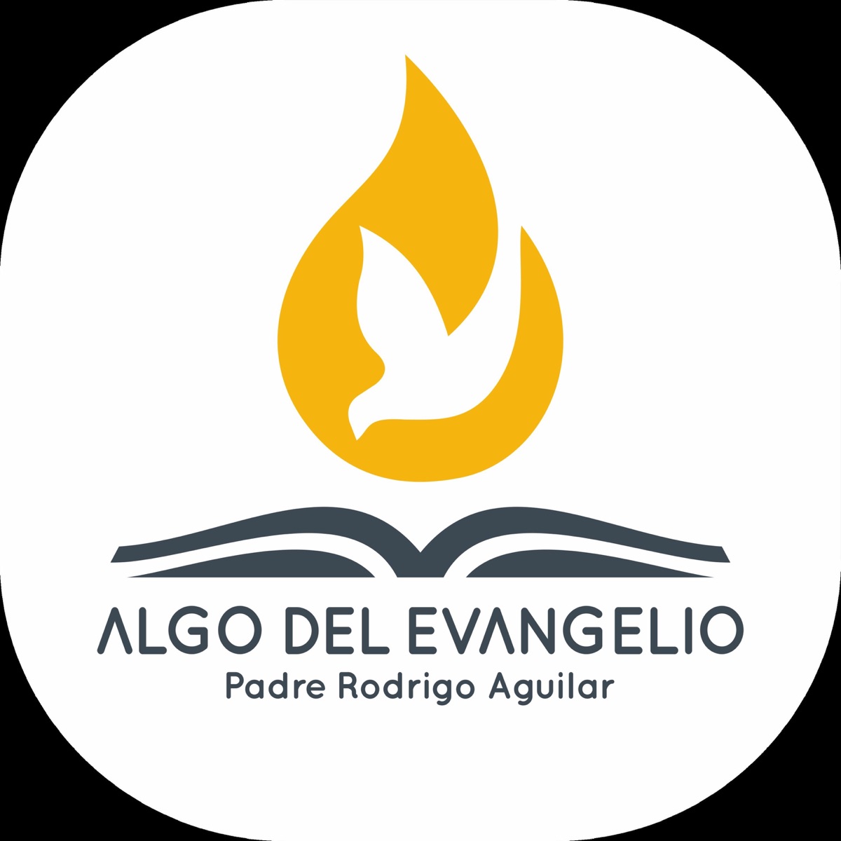 Algo del Evangelio - Padre Rodrigo Aguilar