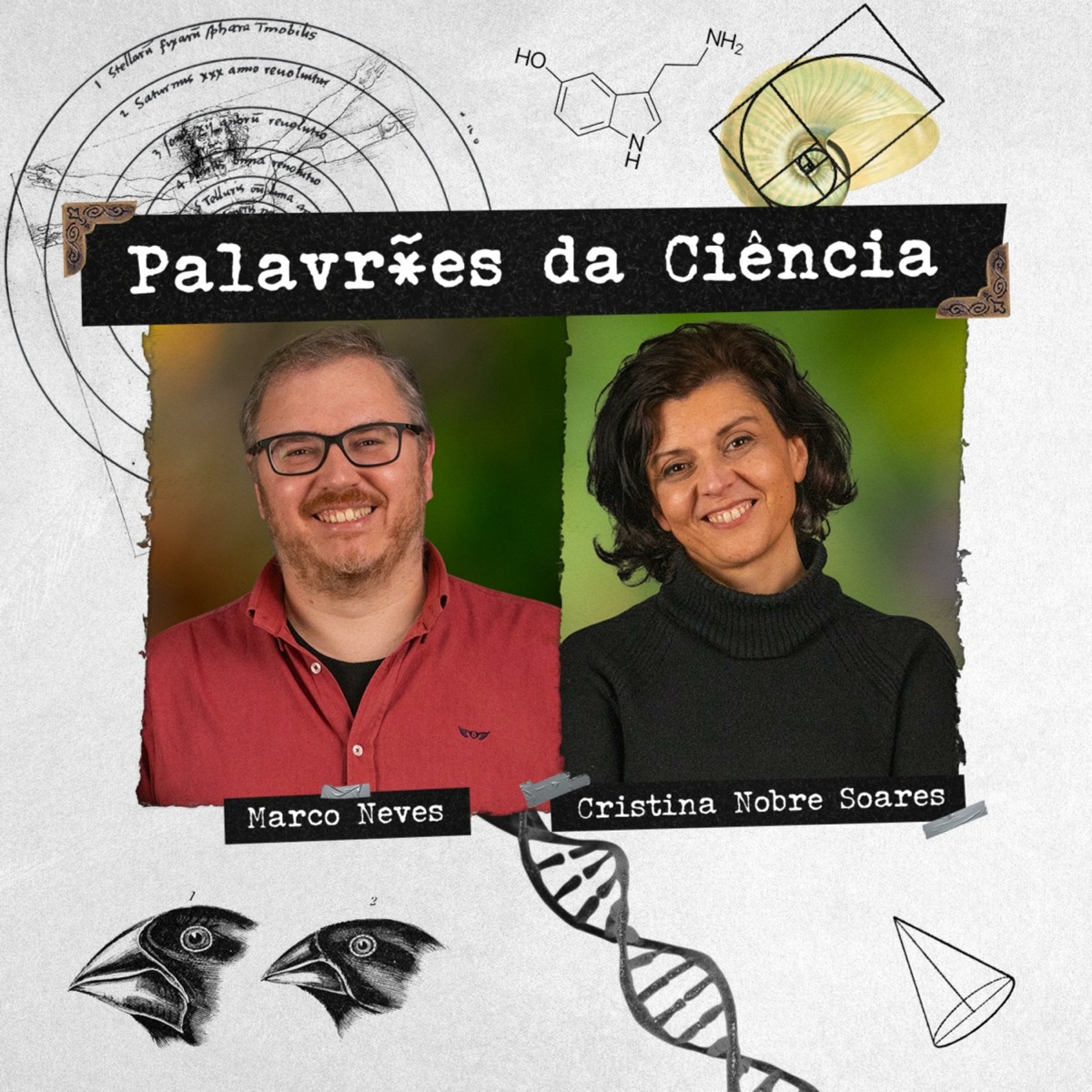 Ciência Sem Fim – Podcast – Podtail