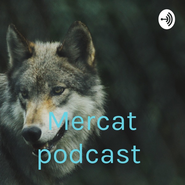 Mercat podcast Artwork