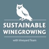 Sustainable Winegrowing with Vineyard Team artwork
