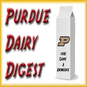 367-Starbucks and Dairy