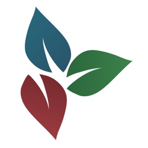 Do Not Be Conformed | Rev. Dr. Daniel Meyer