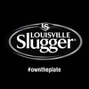 Louisville Slugger Baseball Bats artwork