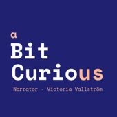 Bit Curious - Victoria Vallstrom