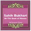 Sahih Bukhari The Book Of Menses artwork