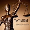 The Trial Brief artwork