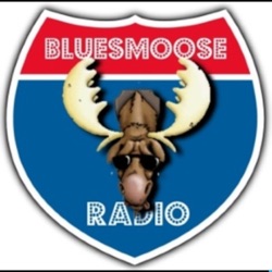 Episode 2002: Bluesmoose 2002-37-2024 - the best of bluesmoose live part 3