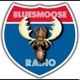 Episode 2030: Bluesmoose 2030-51-2024 Christmas Blues (1)