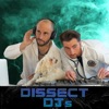 Dissect DJs artwork