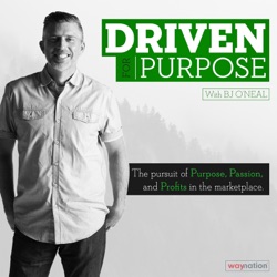 Introduction To The Driven For Purpose Podcast