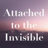 Attached to the Invisible artwork
