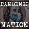 Pandemic Nation artwork