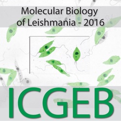 Molecular Biology of Leishmania 2016