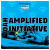 Amplified Initiative artwork