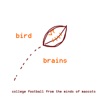 Bird Brains artwork