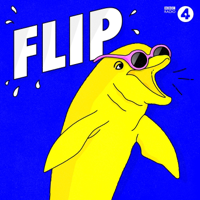 Flip podcast