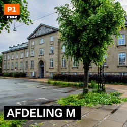 Afdeling M 1:4 - Seks år med boremaskiner