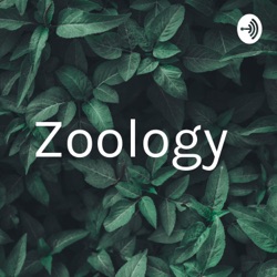 Zoology  (Trailer)