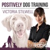 Positively Podcast - Victoria Stilwell - Pets & Animals on Pet Life Radio (PetLifeRadio.com) artwork