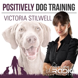 Positively Podcast - Episode 89 A Shocking Discussion