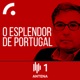 Última Edição: cibersegurança; OMS; Ricardo Salgado; IGAI