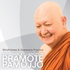 Mindfulness Dhamma to End Suffering artwork