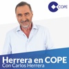 Herrera en COPE artwork