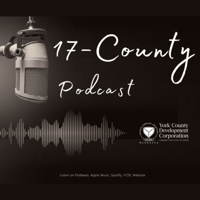 Professional Connection with Ginger Johnson