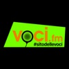 Voci.fm #sitodellevoci artwork