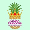 Color of Success artwork