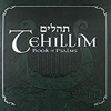 Tehillim (Psalms) Series with Rabbi Yosef Mitzrachi artwork