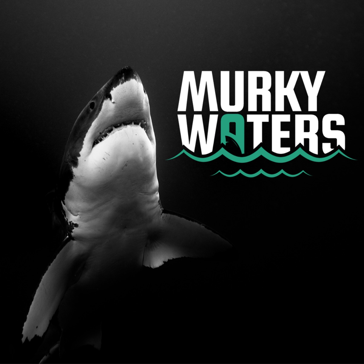 Murky Waters