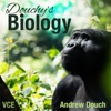 Douchy's Biology artwork