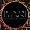 Between The Bars artwork