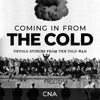 Coming in From the Cold: Untold Stories from the Cold War artwork