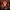 WILOSOPHY with Wil Anderson