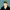 De Willem Podcast
