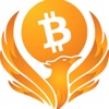 Bitcoin Feniks artwork