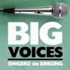 Big Voices Podcast artwork