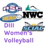 DIII Women's Volleyball artwork