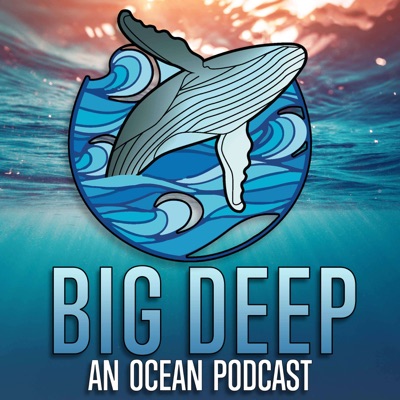 Big Deep - An Ocean Podcast Big Deep - An Ocean Podcast