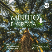 Minuto Florestal - Programa Timac Agro Florestas