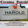 Evening Harold's Podcast artwork
