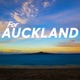 For Auckland