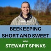 Beekeeping - Short and Sweet artwork