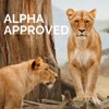 Alpha Approved artwork