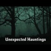 Unexpected Hauntings artwork