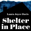 Shelter in Place artwork