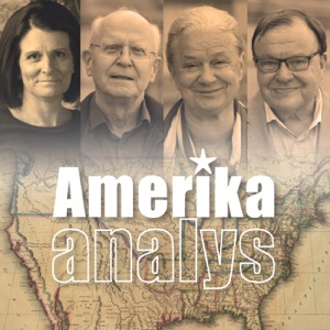 Amerikaanalys