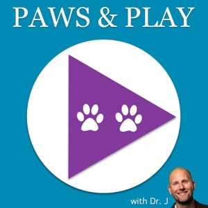 Senior Pets —Making Little Changes for Big Improvements